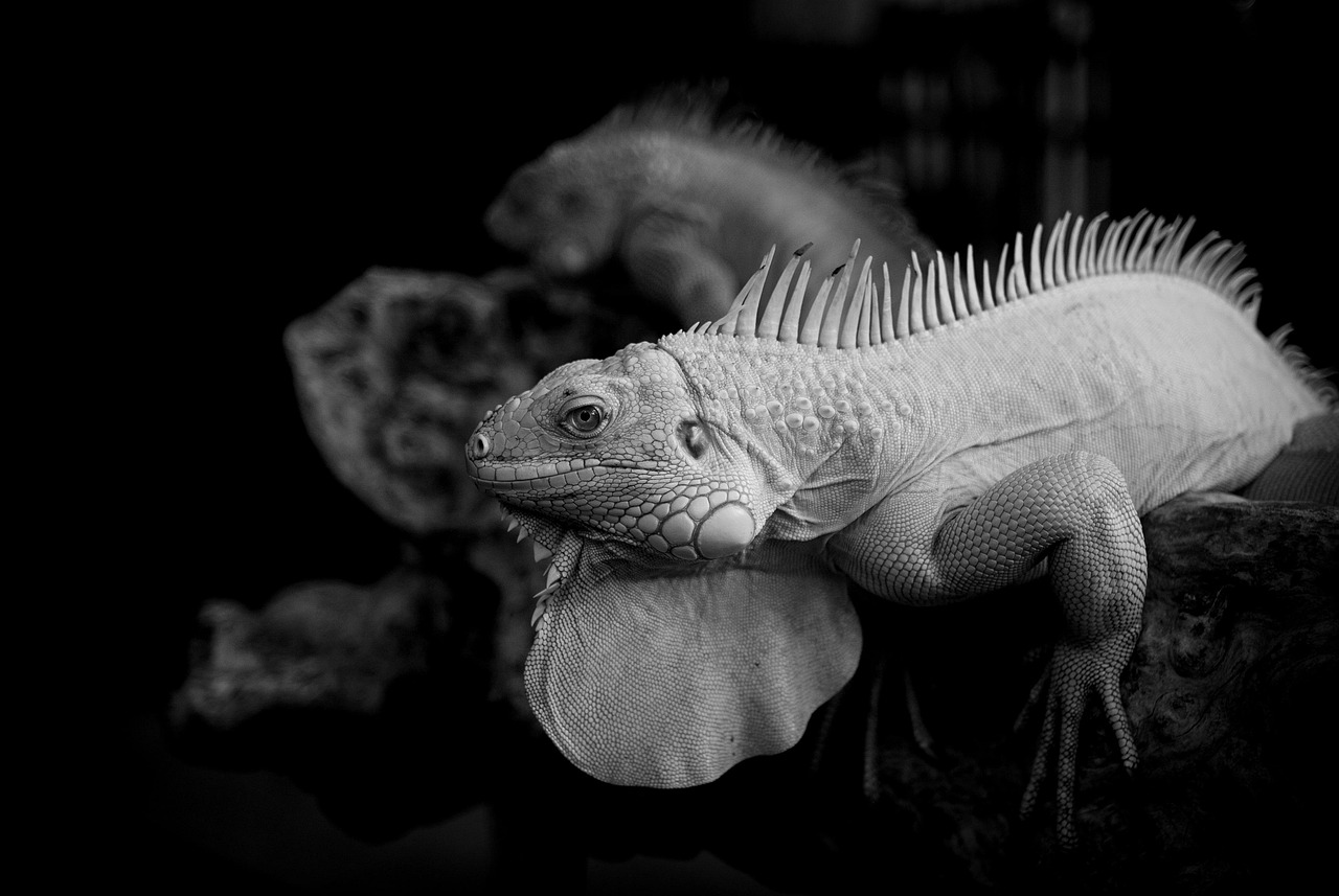 任意整理を会社にバレずに進める方法とは？