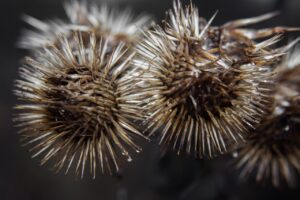 債務整理の相談をZOOMで行う会社は秘密にできるのか？