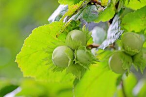 債務整理を家族にバレない方法は？