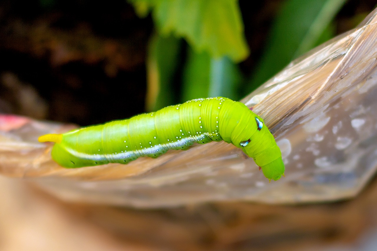 任意整理がバレる確率はどのくらい？