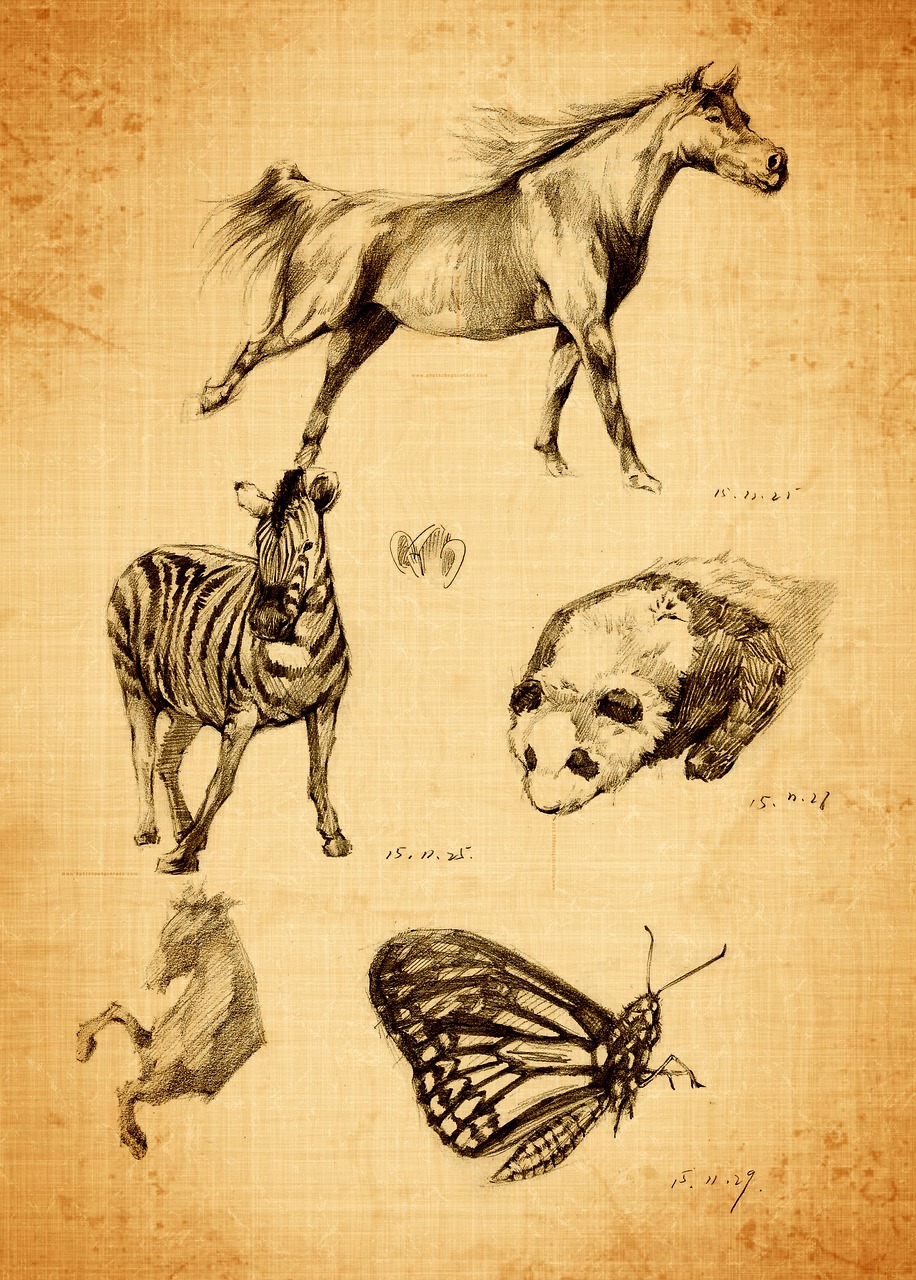 債務整理を行う際の連絡先指定方法は？